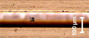 表面图片 (images)